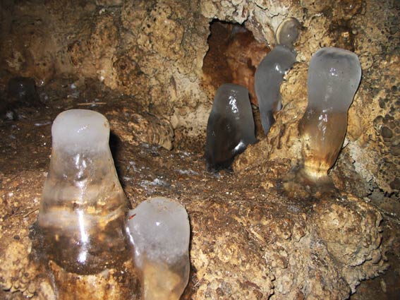 бутылочки :) (в Пикетной пещере, у входа)