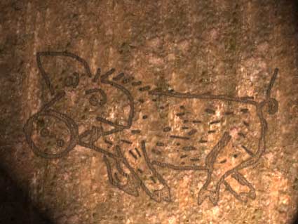 Бегущая свинья из нижней галереи пещеры Монт-Кошон. Неизвестный художник выразительно передал динамизм несущегося
вперед животного.